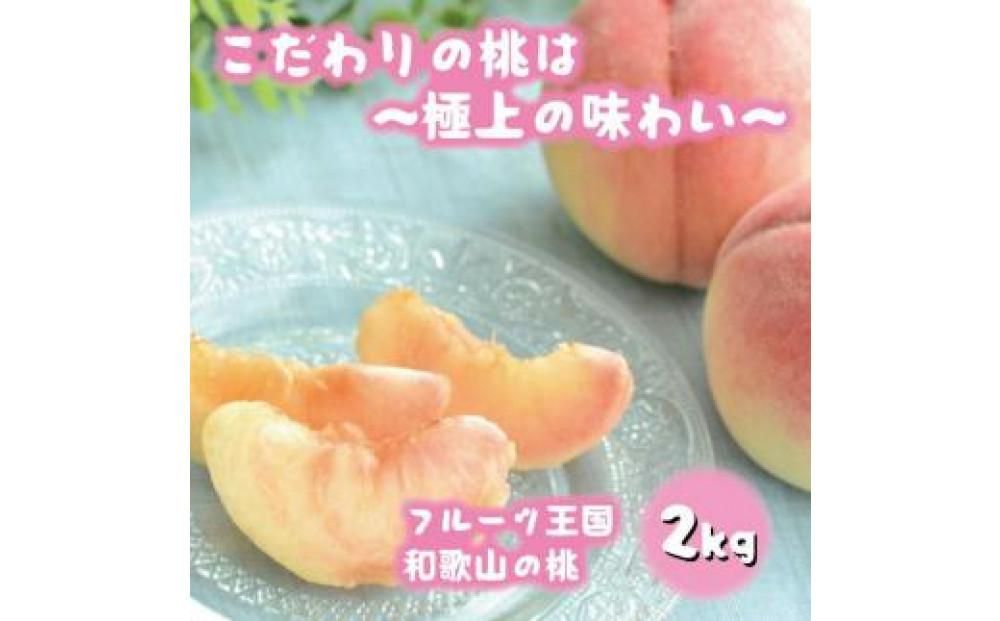 フルーツ王国 和歌山 の 桃 約2kg(fr-06)_ 先行予約 2025年6月中旬から7月下旬発送[MS107] 303446_XD90041