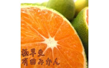 [先行予約]有田育ちのご家庭用極早生有田みかん4kg[2024年10月発送][訳あり] 303446_XD90089