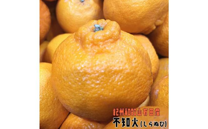 ご家庭用 濃厚 不知火 約5kg【和歌山県産】【農家直送】【先行予約・2025年2月上旬～2025年3月下旬発送】 303446_XD90094