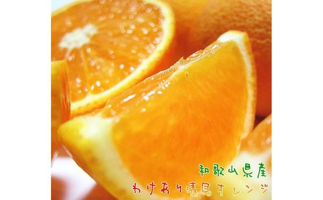 ya̎R쒬zLc炿 n  IWiƒpj7.5kgms\nmMS34n 303446_XD90058