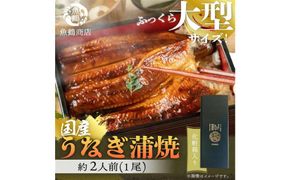 大型サイズ 　ふっくら柔らか国産うなぎ蒲焼き　1尾（約2人前）化粧箱入 303446_XF003