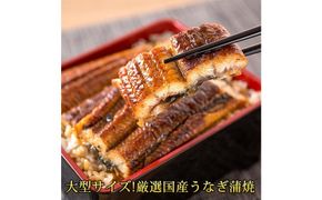 大型サイズ　ふっくら柔らか国産うなぎ蒲焼き　3尾 303446_XF005