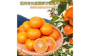 紀州有田産濃厚甘熟温州みかん5kg［2026年11月下旬以降発送］［先行予約］［UT09］ 303446_XF027