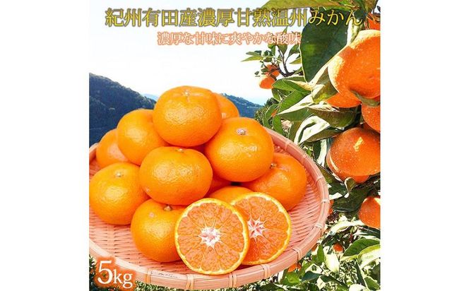 紀州有田産濃厚甘熟温州みかん5kg［2026年11月下旬以降発送］［先行予約］［UT09］ 303446_XF027