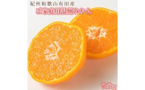 ［ご家庭用訳アリ］紀州有田産温州みかん7.5kg［2026年11月下旬以降発送］［先行予約］［UT10］ 303446_XF029