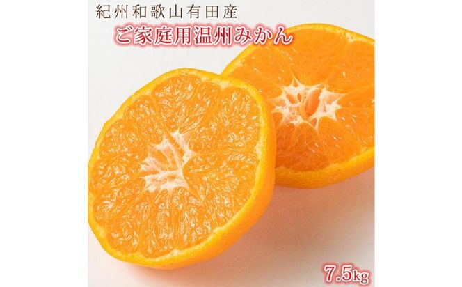［ご家庭用訳アリ］紀州有田産温州みかん7.5kg［2026年11月下旬以降発送］［先行予約］［UT10］ 303446_XF029