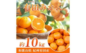 完熟有田みかん　10kg［2026年11月下旬以降発送］［先行予約］［UT11］ 303446_XF030