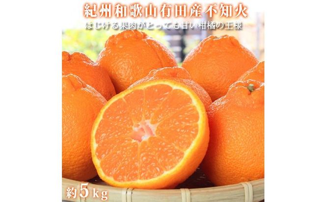 ya̎R쒬zIBLcYsm(ʂ) Tkgm2026N2{ȍ~nms\nmUT40n 303446_XF037