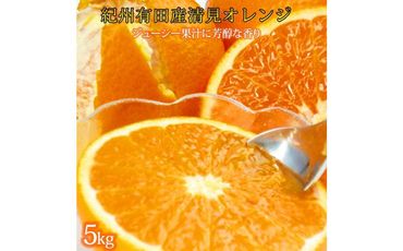 とにかくジューシー清見オレンジ　5kg【2025年3月下旬以降発送】【先行予約】【UT53】 303446_XF040