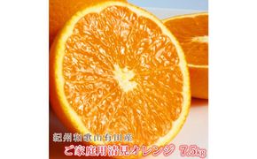 ［ご家庭用訳アリ］紀州有田産清見オレンジ　7.5kg［2026年3月下旬以降発送］［先行予約］［UT54］ 303446_XF041