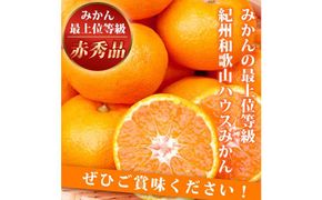 赤秀品 紀州和歌山ハウスみかん 2.5kg［2026年6月末頃～2026年7月中旬頃に順次発送］［UT87］ 303446_XF045