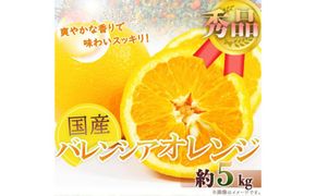 秀品 希少な国産バレンシアオレンジ 5kg［2026年6月下旬頃～2026年7月上旬頃に順次発送］［UT76］ 303446_XF046