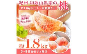 紀州和歌山産の桃　約1．8kg　化粧箱入【2025年7月上旬より順次発送】【UT52】 303446_XF049