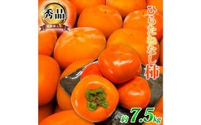 平核無柿（ひらたねなしがき）約７.５kg　和歌山秋の味覚［2026年発送］［UT37］ 303446_XF051