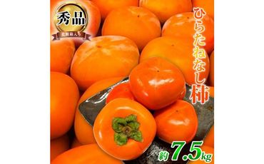 平核無柿（ひらたねなしがき）約７.５kg　和歌山秋の味覚【2024年発送】【UT37】 303446_XF051