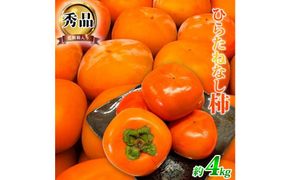 平核無柿（ひらたねなしがき）約４kg　化粧箱入　和歌山秋の味覚［2026年発送］［UT36］ 303446_XF052