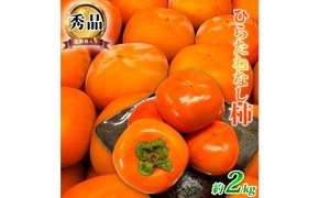 平核無柿（ひらたねなしがき）約２kg　化粧箱入　和歌山秋の味覚［2026年発送］［UT35］ 303446_XF053