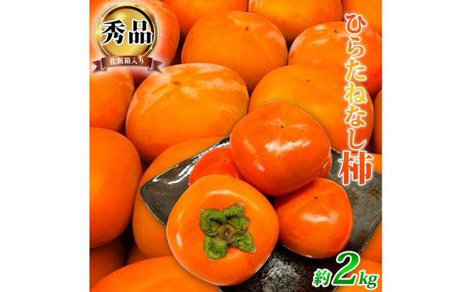 ya̎R쒬zj`iЂ炽˂ȂjQkg@ϔ@a̎RH̖om2026NnmUT35n 303446_XF053