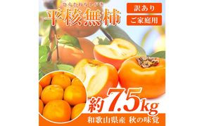 ［ご家庭用］平核無柿（ひらたねなしがき）約７.５kg 和歌山秋の味覚［2026年発送］［UT32］ 303446_XF054