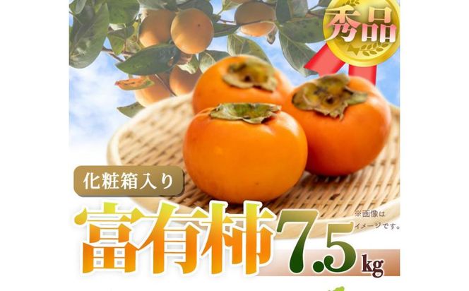 和歌山秋の味覚　富有柿　約７．５ｋｇ「2024年11月上旬以降発送予定」【UT48】 303446_XF057