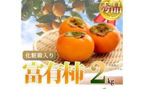 和歌山秋の味覚　富有柿　約２ｋｇ化粧箱入「2024年11月上旬以降発送予定」【UT49】 303446_XF059