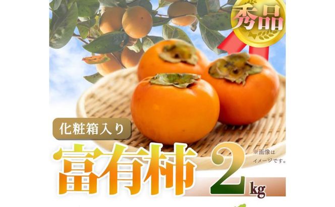 ya̎R쒬za̎RH̖o@xL`@Qϔu2025N11{ȍ~\vyUT49z 303446_XF059
