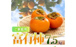 ［ご家庭用わけあり］和歌山秋の味覚　富有柿　約７．５ｋｇ「2026年11月上旬以降発送予定」［UT47］ 303446_XF060