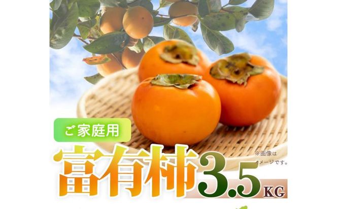 ya̎R쒬zyƒp킯za̎RH̖o@xL`@3DT@u2025N11{ȍ~\vyUT51z 303446_XF91048