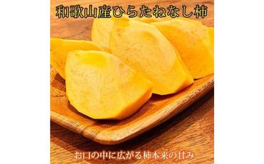 【魚鶴商店厳選】和歌山人気のフルーツ定期便（柿・みかん）【定期便全3回】【UT115】 303446_XF066