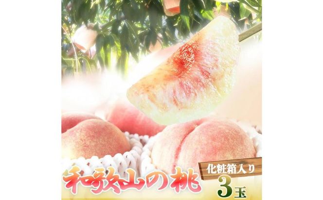 ya̎R쒬zGi IBa̎RY̓ 3ʁ@ϔm2026N6{菇nmUT105n 303446_XF91061