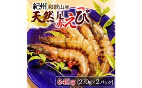 紀州和歌山産天然足赤えび540g（270g×2パック）　化粧箱入【2025年11月末頃から2026年2月上旬頃に順次発送】【UT23】 303446_XF91080