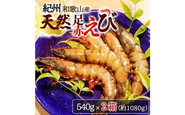 紀州和歌山産天然足赤えび540g×2箱（270g×4パック）　化粧箱入【2024年11月上旬頃～2025年2月上旬頃に順次発送】【UT24】 303446_XF91081