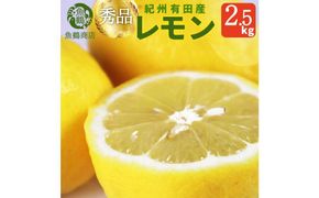 秀品　紀州有田産レモン　2.5kg【2025年3月上旬以降発送】【先行予約】【UT45】 303446_XF91085