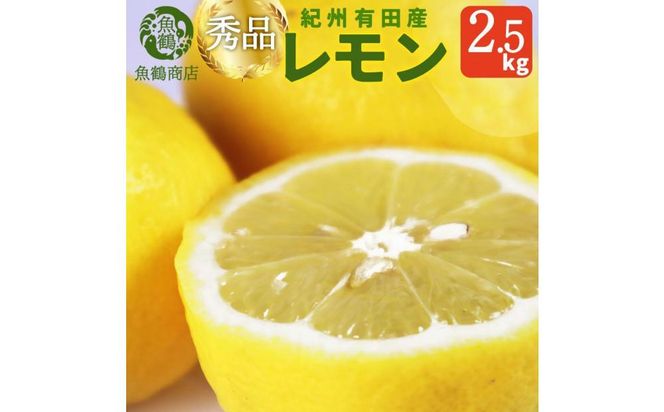 秀品　紀州有田産レモン　2.5kg【2025年3月上旬以降発送】【先行予約】【UT45】 303446_XF91085