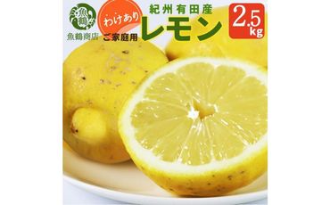 [ご家庭用訳あり] 紀州有田産レモン 2.5kg[2025年3月上旬以降発送][先行予約][UT46] 303446_XF91086