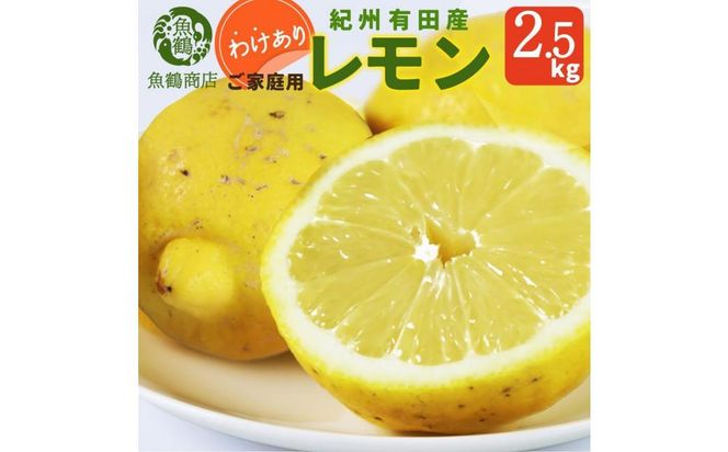 【ご家庭用訳あり】 紀州有田産レモン 2.5kg【2025年3月上旬以降発送】【先行予約】【UT46】 303446_XF91086