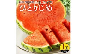 紀州和歌山産 小玉スイカ「ひとりじめ」 1玉【2026年6月中旬頃～2026年7月上旬頃に順次発送】【UT85】 303446_XF91087