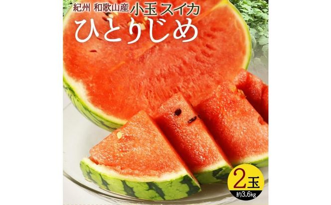 ya̎R쒬zIBa̎RY ʃXCJuЂƂ肶߁v 2ʁy2026N6{`2026N7{ɏzyUT86z 303446_XF91088