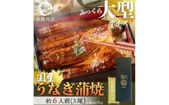 大型サイズ　ふっくら柔らか　国産うなぎ蒲焼き　3尾　化粧箱入【秋土用の丑の日のうなぎ】【～10月28日までにお届け】【UT06】 303446_XF91090-GFT