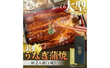 大型サイズ ふっくら柔らか 国産うなぎ蒲焼き 1尾(約2人前)化粧箱入[秋土用の丑の日のうなぎ][〜10月28日までにお届け][UT04] 303446_XF91092-GFT