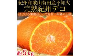 【2・4・6・8・10・12月 偶数月発送 全6回】和歌山産 旬のフルーツ お楽しみ 定期便 【魚鶴商店】【UT113】 303446_XF91096