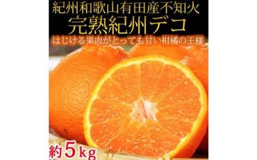 【2・4・6・8・10・12月 偶数月発送 全6回】和歌山産 旬のフルーツ お楽しみ 定期便 【魚鶴商店】【UT113】 303446_XF91096