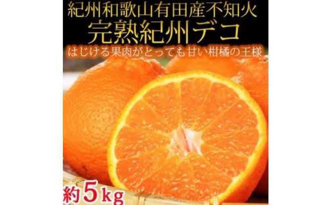 【2・4・6・8・10・12月 偶数月発送 全6回】和歌山産 旬のフルーツ お楽しみ 定期便 【魚鶴商店】【UT113】 303446_XF91096