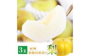 梨 3玉 化粧箱入 紀州和歌山 かつらぎ産［2026年8月中旬以降発送予定］［UT98］ 303446_XF91106