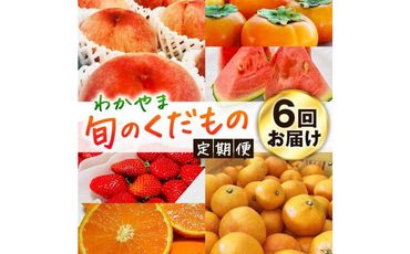 わかやま旬のくだもの定期便 全6回【Ｓ】【2・3・6・7・10・11月発送 】※北海道・沖縄・離島への配送不可 303446_XD90100