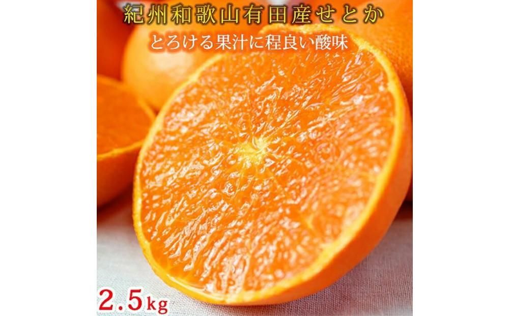 紀州有田産せとか約2.5kg とろける食感!ジューシー柑橘[2025年2月上旬以降発送][先行予約][UT02] 303446_XF91017