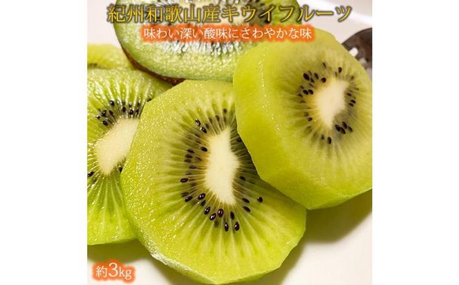 ya̎R쒬zIB炬R̃LECt[c3kgm2026N1{ȍ~\nmUT29n 303446_XF91125