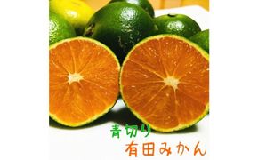 特選 青切り有田みかん 約5kg ［2025年9月中旬より発送］［MS30］ 303446_XD90148