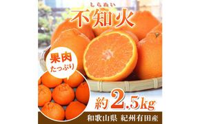紀州有田産不知火(しらぬひ) 約２.５kg［2026年2月中旬以降発送］［先行予約］［UT61］ 303446_XF91130