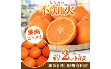 紀州有田産不知火(しらぬひ) 2.5kg【UT61】 303446_XF91130